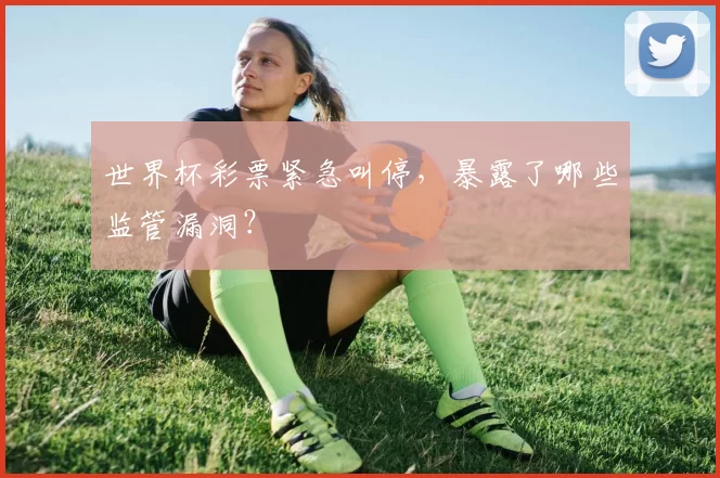 世界杯彩票紧急叫停,暴露了哪些监管漏洞?