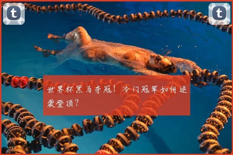 世界杯黑马夺冠！冷门冠军如何逆袭登顶？