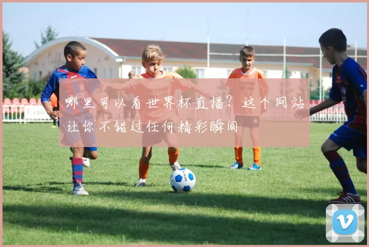 哪里可以看世界杯直播?这个网站让你不错过任何精彩瞬间