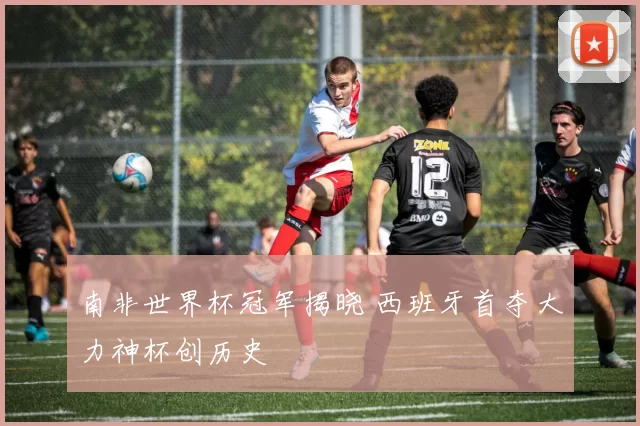 南非世界杯冠军揭晓 西班牙首夺大力神杯创历史