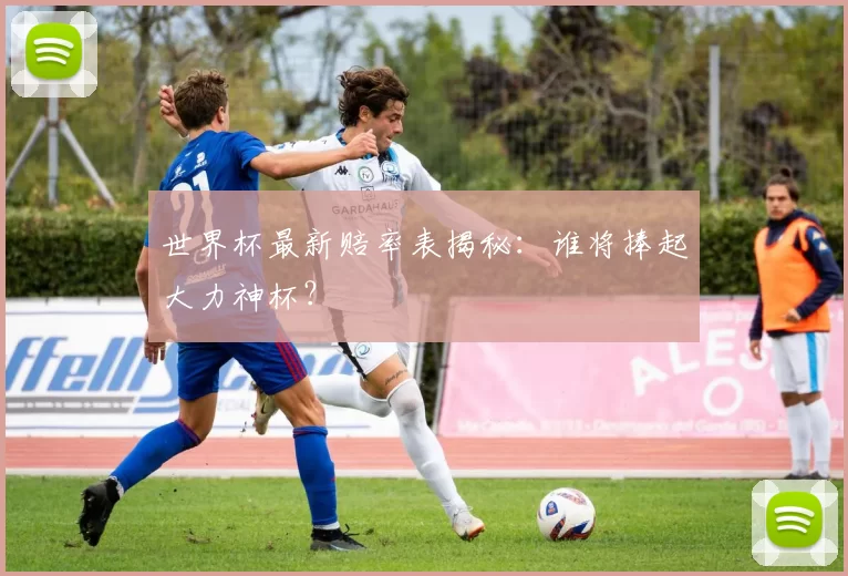 世界杯最新赔率表揭秘:谁将捧起大力神杯?