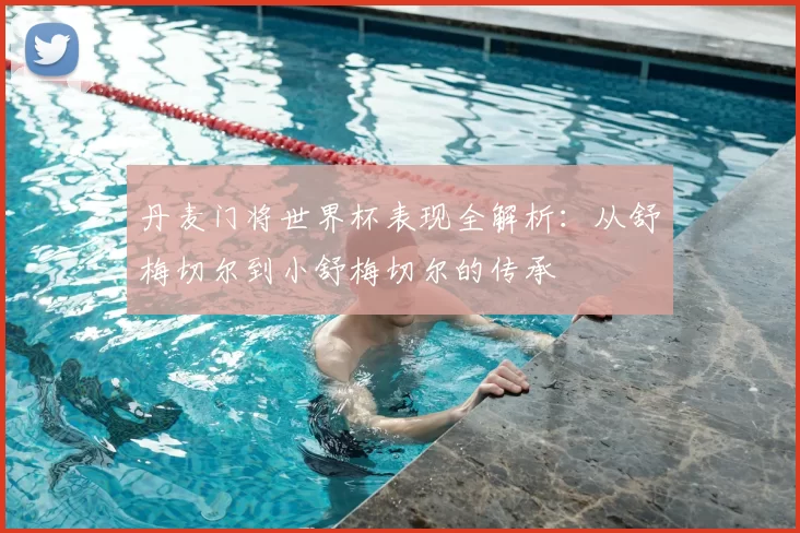 丹麦门将世界杯表现全解析：从舒梅切尔到小舒梅切尔的传承