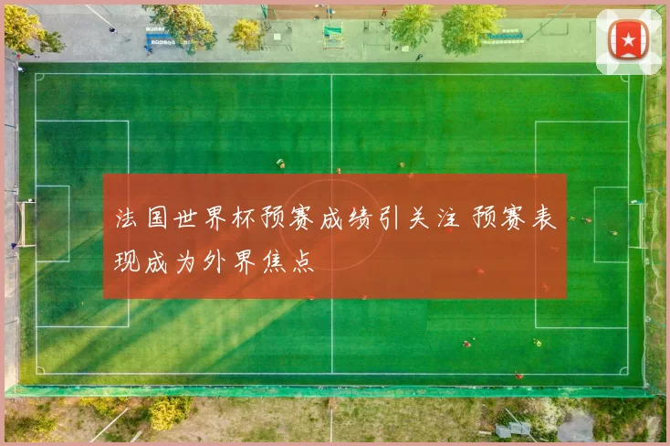 法国世界杯预赛成绩引关注 预赛表现成为外界焦点