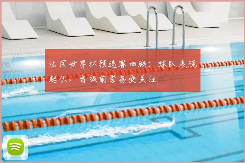 法国世界杯预选赛回顾:球队表现起伏,晋级前景备受关注