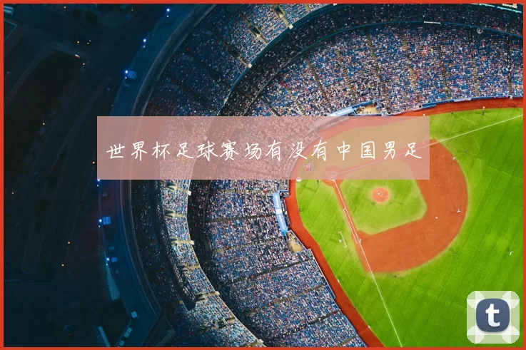 世界杯足球赛场有没有中国男足