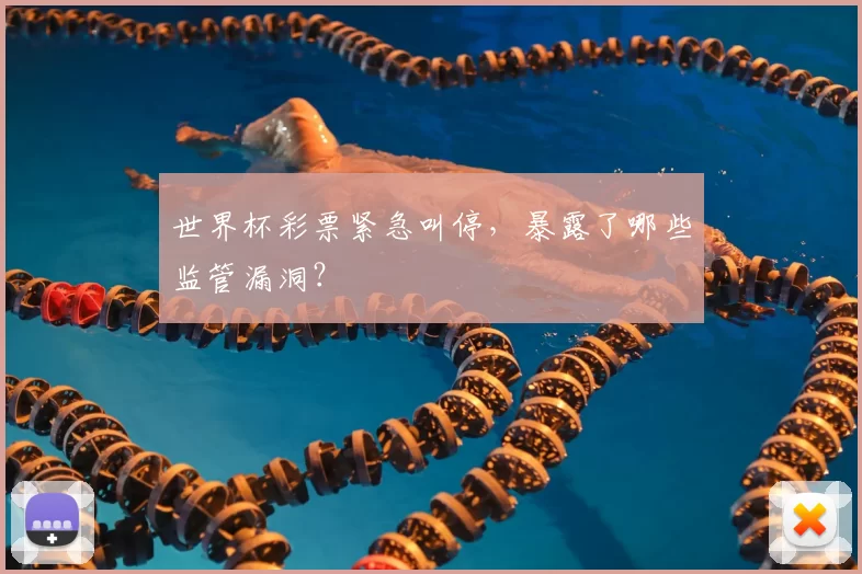 世界杯彩票紧急叫停,暴露了哪些监管漏洞?