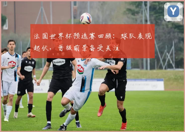 法国世界杯预选赛回顾:球队表现起伏,晋级前景备受关注